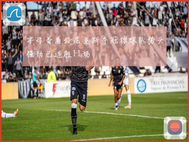 字母哥看好尼克斯夺冠称球队势头强劲已连胜11场